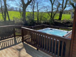 2 Bed in Dartmoor National Park 06200